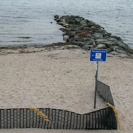 Traumblick Auf's *